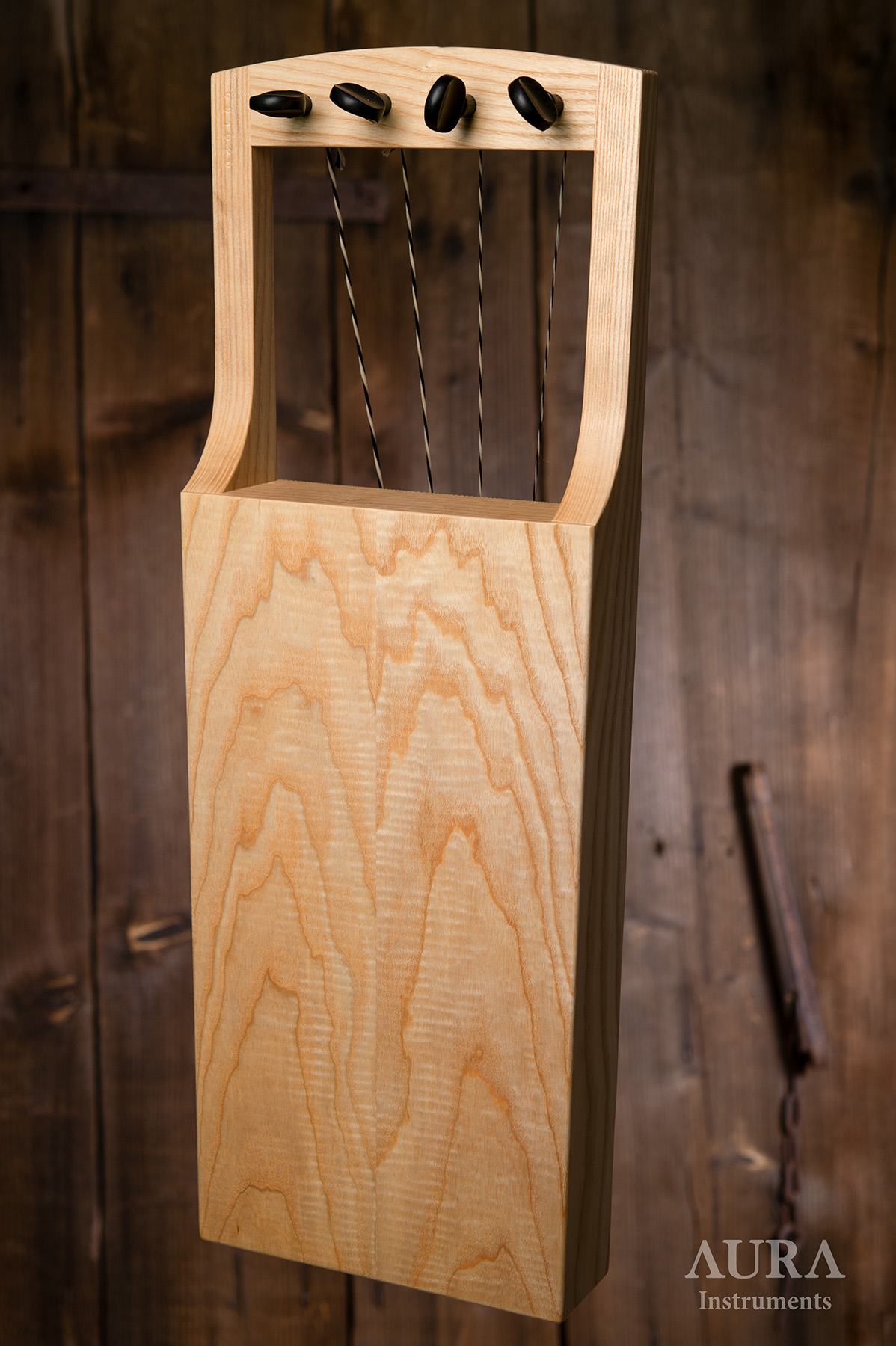 Tagelharp Aura 4 ProT detail 1